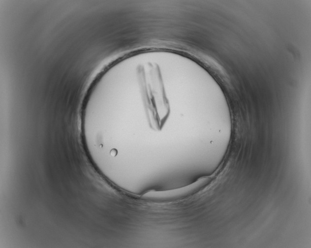 X0000112751280200910011146