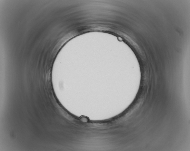 X0000112751281200910011146