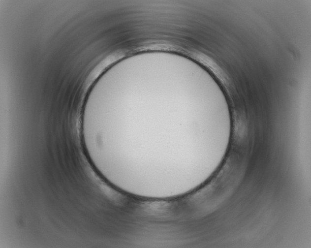 X0000112751282200910011146