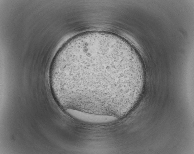 X0000112751283200910011146