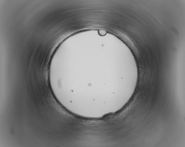 X0000112751284200910011146