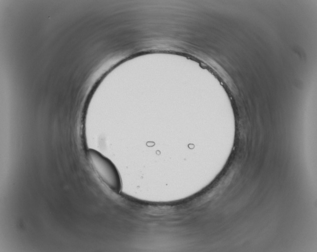 X0000112751285200910011146