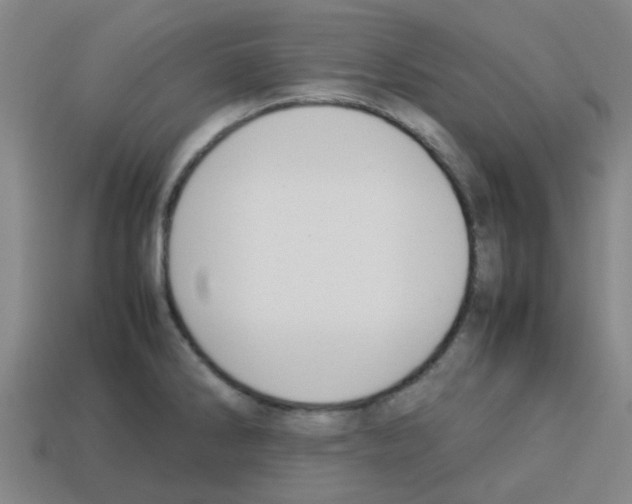 X0000112751286200910011146