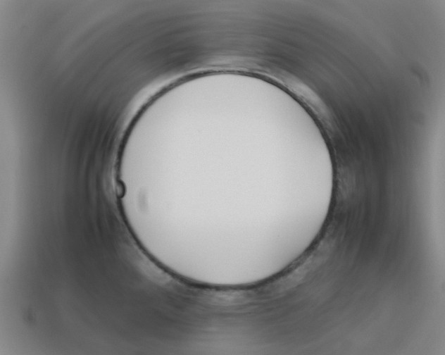 X0000112751288200910011146