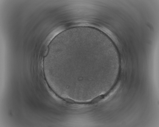 X0000112751289200910011146