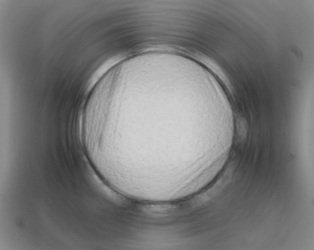 X0000112751290200910011146