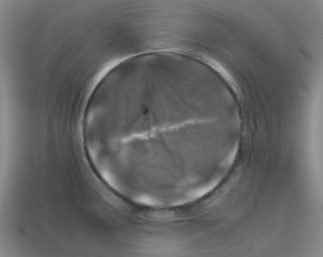 X0000112751291200910011146