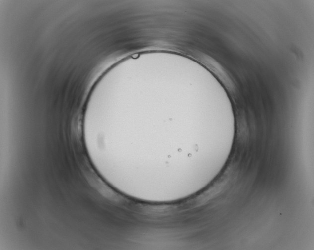 X0000112751292200910011146