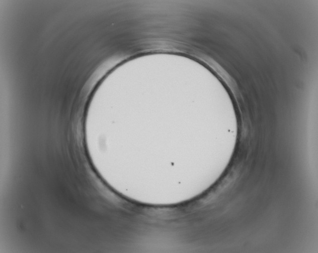 X0000112751293200910011146