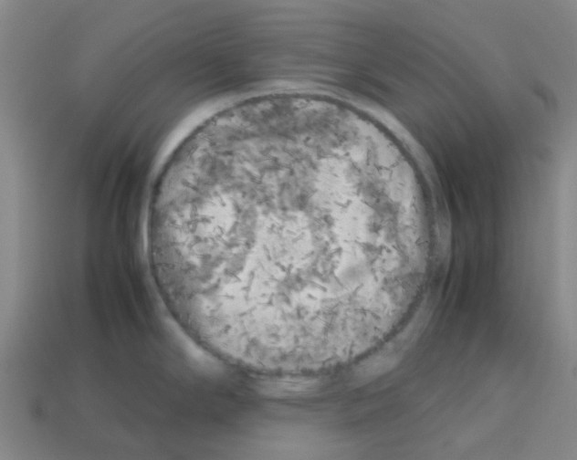 X0000112751294200910011146