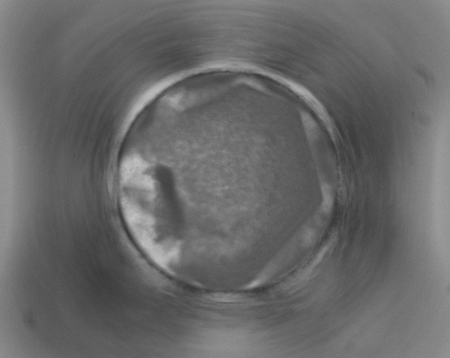 X0000112751295200910011146