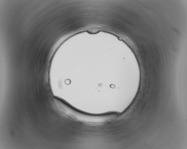 X0000112751296200910011146