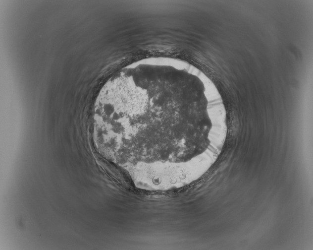 X0000112751297200910011145