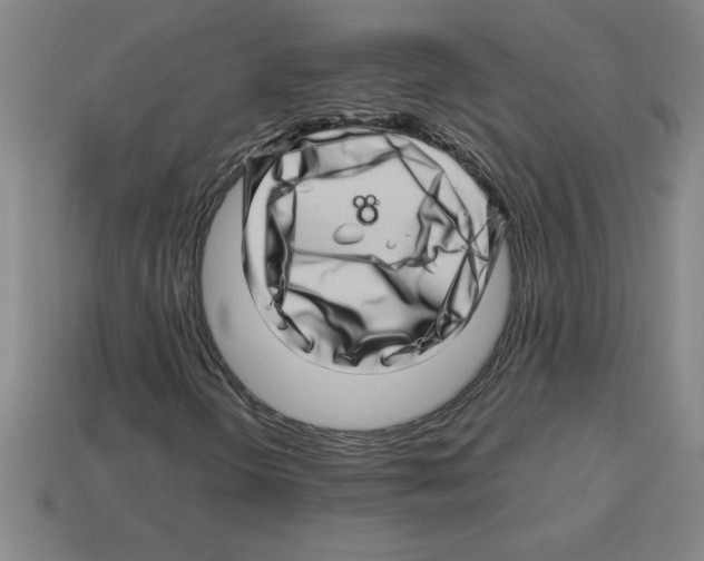 X0000112751298200910011145