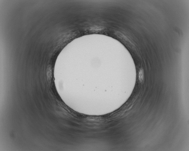 X0000112751299200910011145