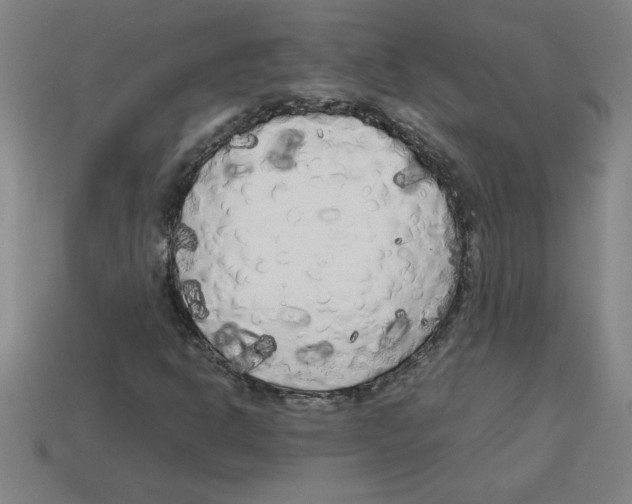 X0000112751302200910011146