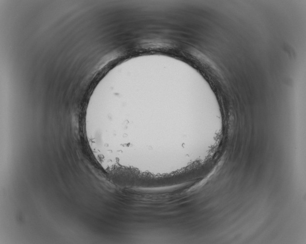 X0000112751305200910011146