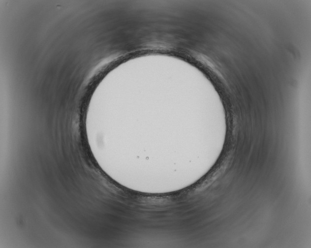 X0000112751307200910011146