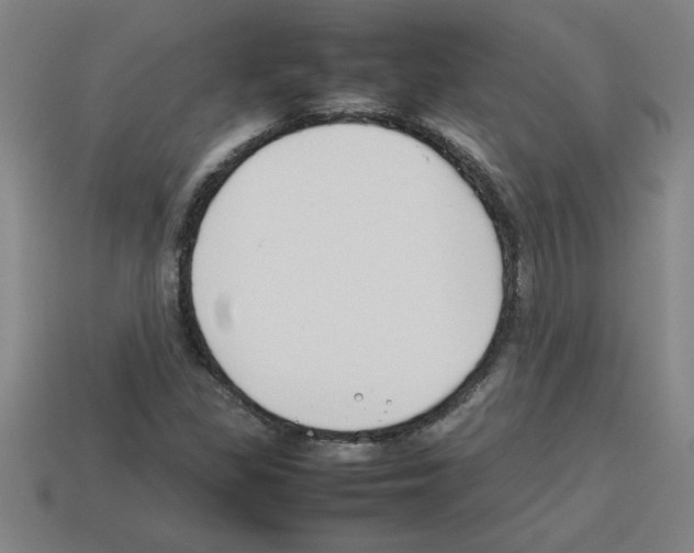 X0000112751309200910011146