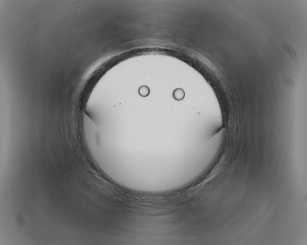 X0000112751310200910011146