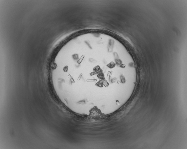 X0000112751311200910011146