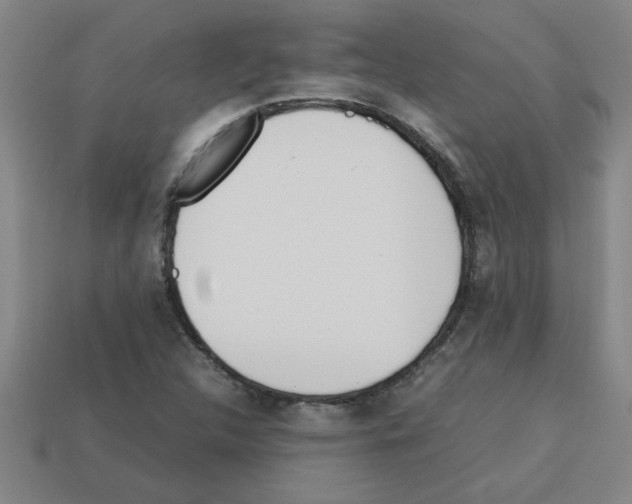 X0000112751312200910011146