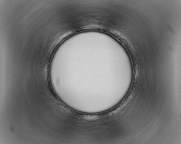 X0000112751313200910011146