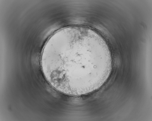 X0000112751314200910011146