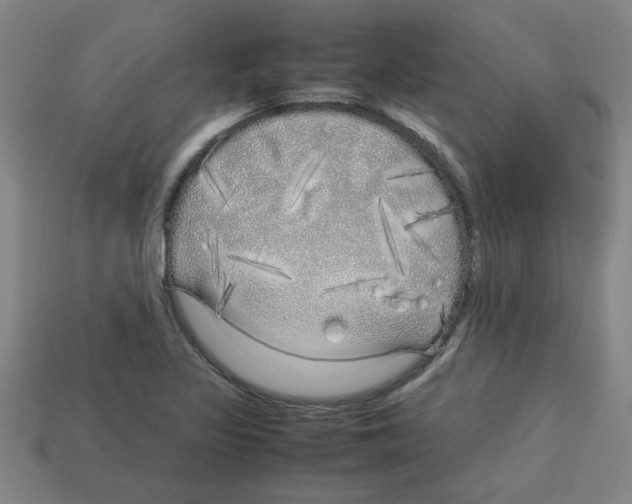 X0000112751317200910011146