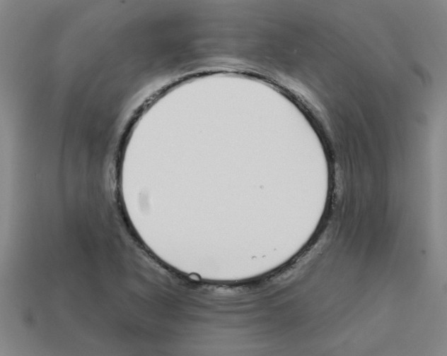 X0000112751318200910011146