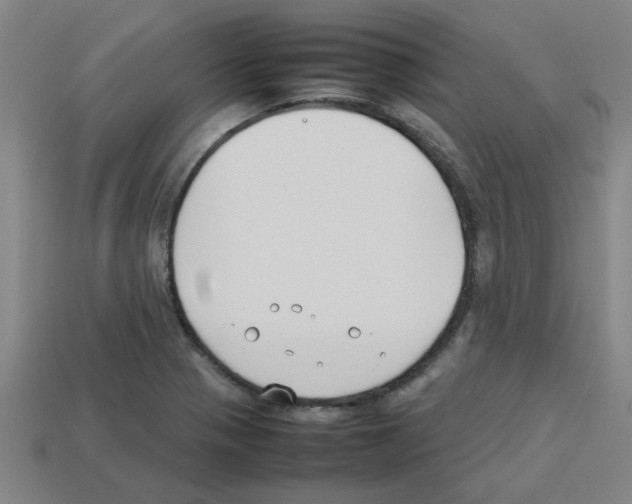 X0000112751321200910011146