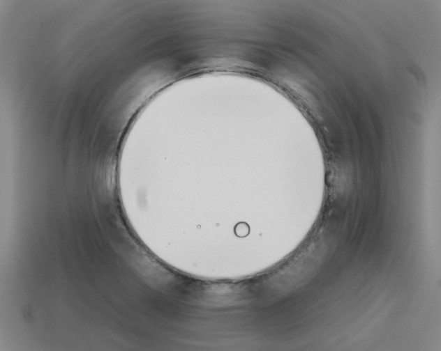 X0000112751322200910011146