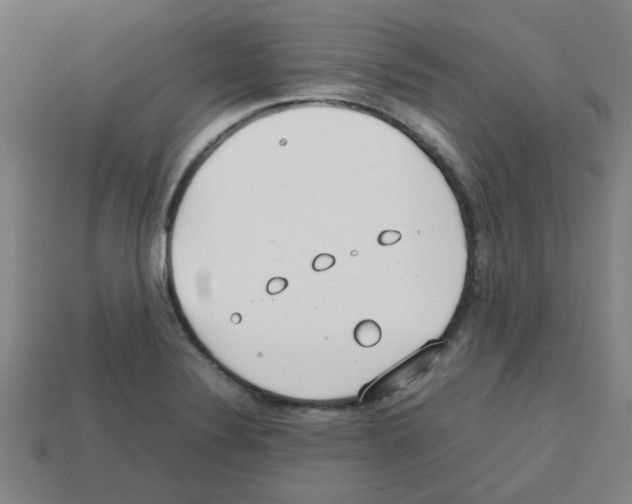 X0000112751324200910011146