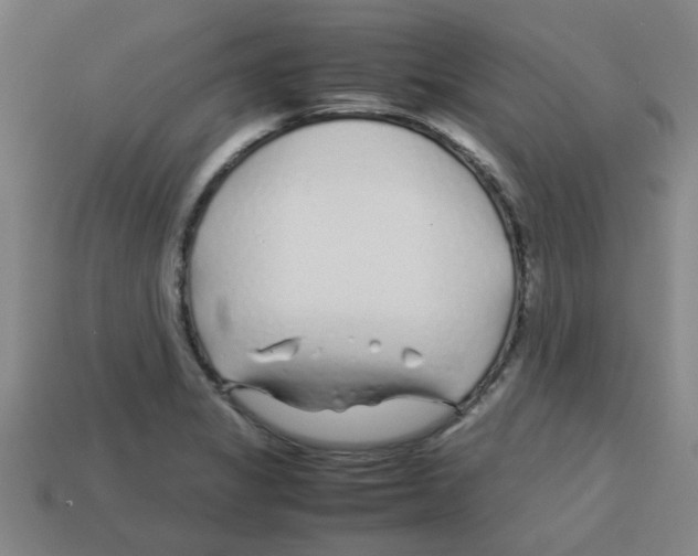 X0000112751325200910011146