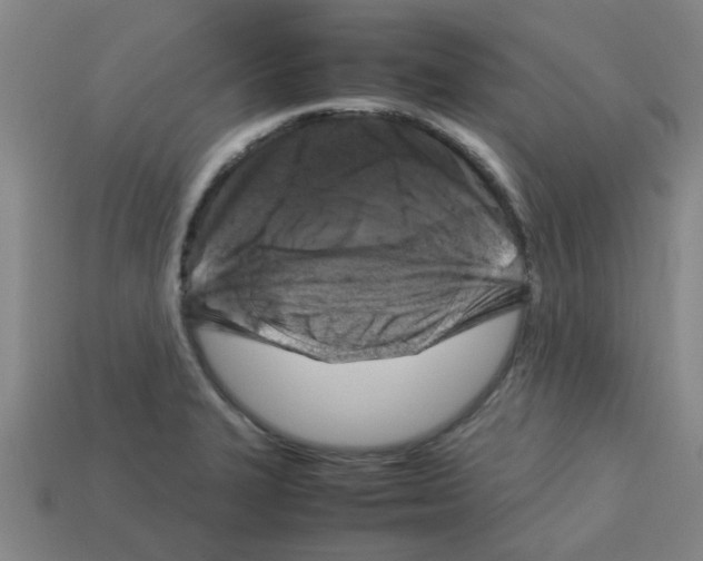 X0000112751327200910011146