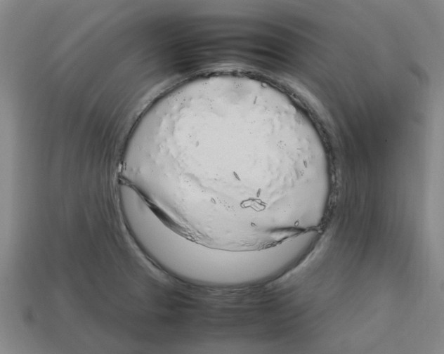 X0000112751329200910011146