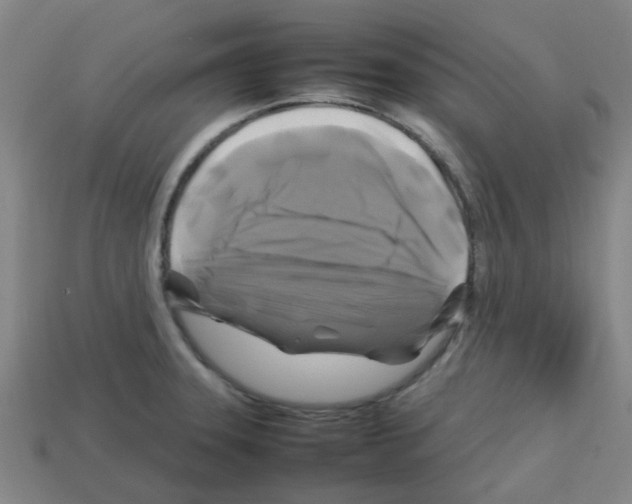 X0000112751331200910011146