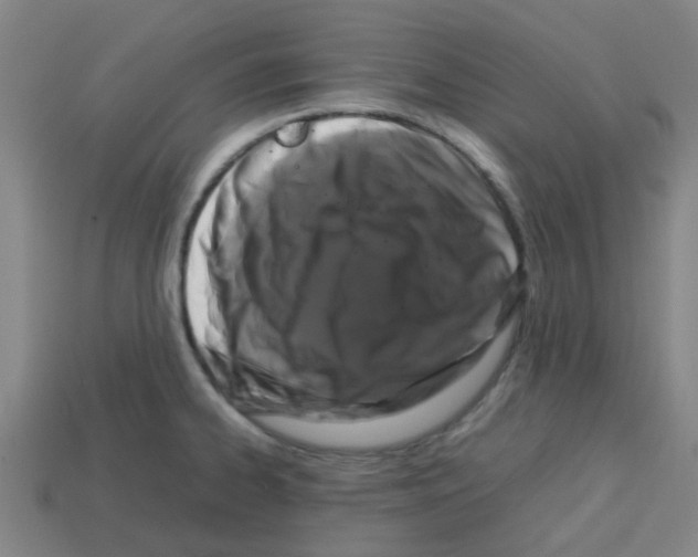 X0000112751334200910011146