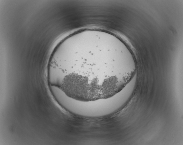 X0000112751335200910011146