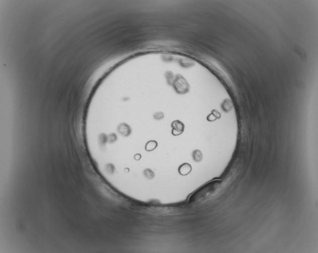 X0000112751336200910011146