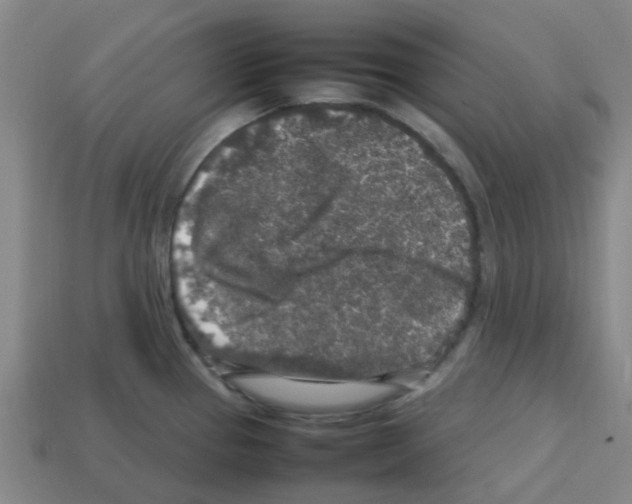 X0000112751337200910011146