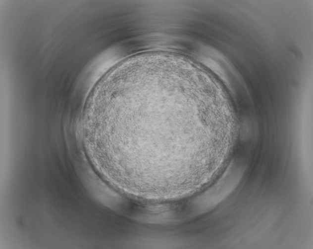 X0000112751338200910011146