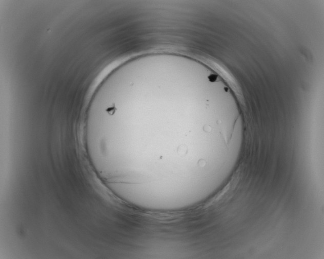 X0000112751340200910011146