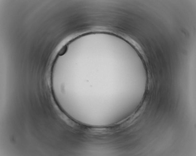 X0000112751342200910011146