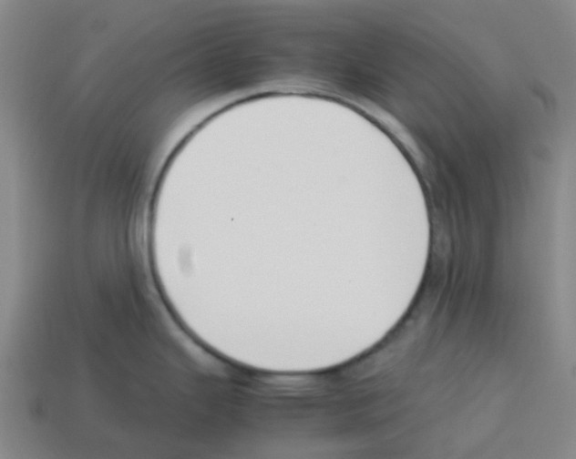 X0000112751343200910011146