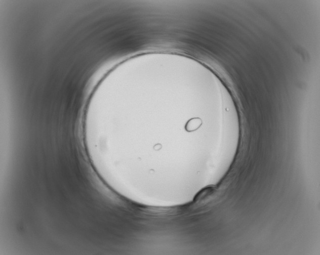 X0000112751344200910011146