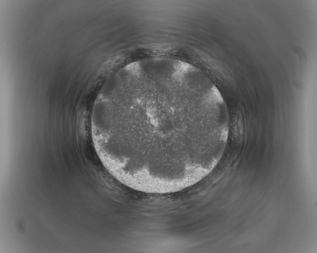 X0000112751346200910011145