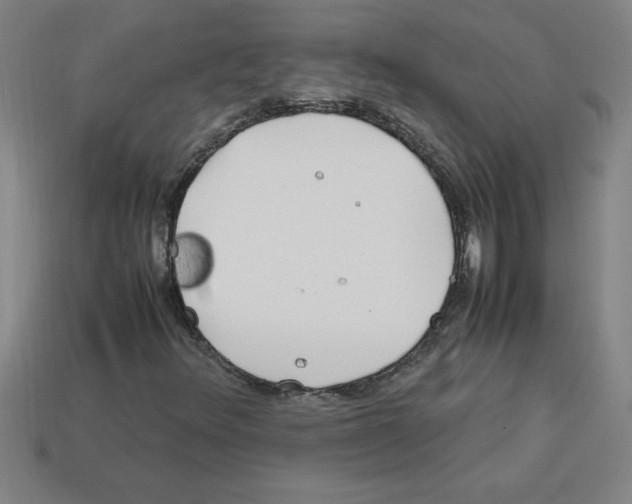 X0000112751348200910011145