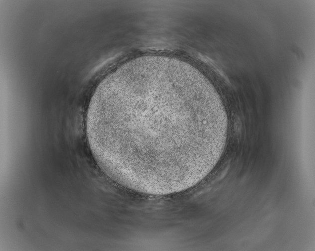 X0000112751350200910011145