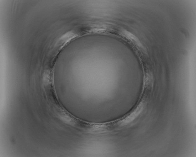 X0000112751353200910011145